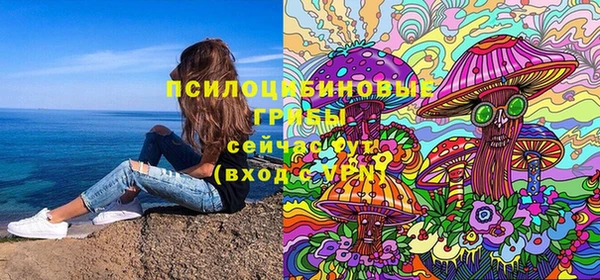 ГАЛЛЮЦИНОГЕННЫЕ ГРИБЫ Балахна