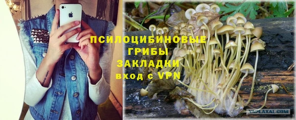 Альфа ПВП Балабаново