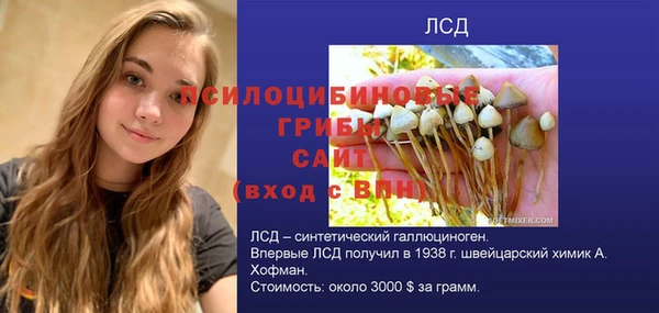 дживик Пересвет