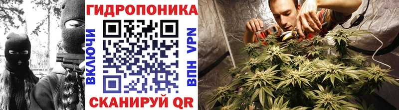 Бошки Шишки конопля  Ленск 
